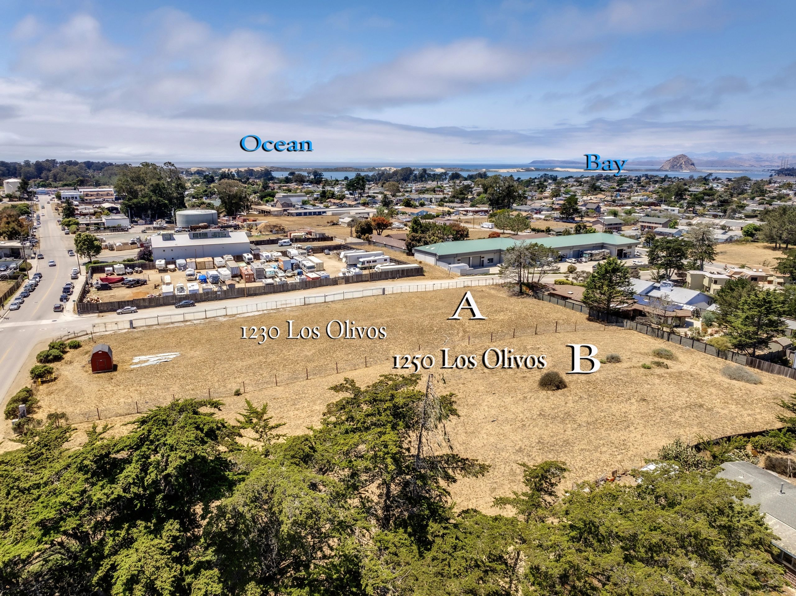 Coastal California landscape — rolling hills meeting the Pacific
